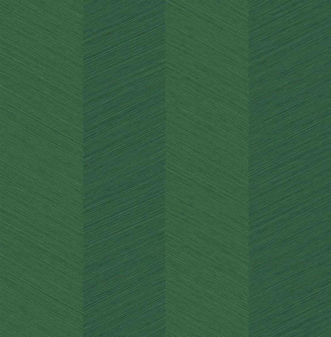 SG11604.jpg
