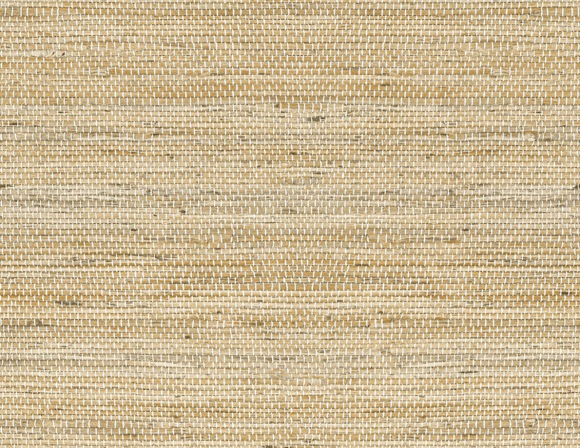LN20206.jpg