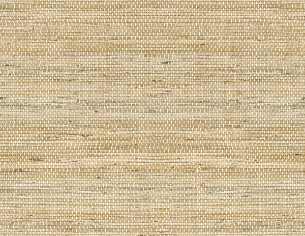 LN20206.jpg