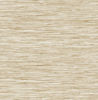 SG10203.jpg