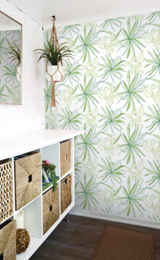 NW36304-A.jpg