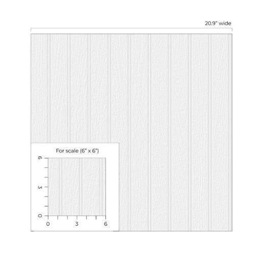 PP10100-Scale.jpg