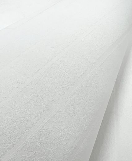 PP10900-Product.jpg