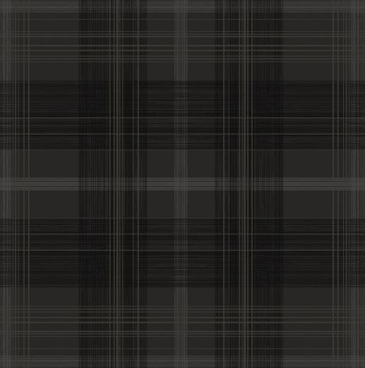 SG13100.jpg