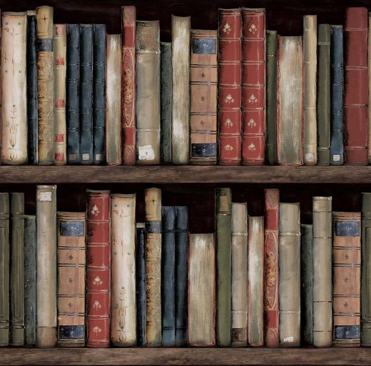 Picture of Faux Bookshelves - Earth & Ember