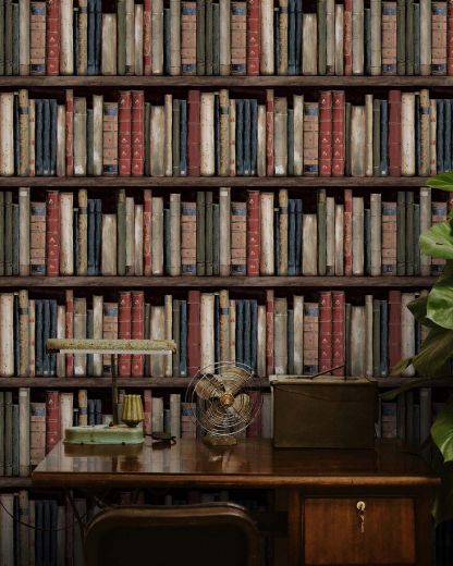 Picture of Faux Bookshelves - Earth & Ember