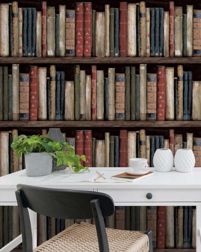 Picture of Faux Bookshelves - Earth & Ember