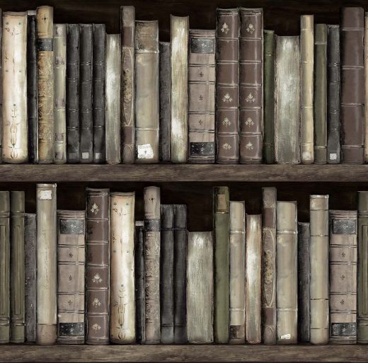 Picture of Faux Bookshelves - Shale